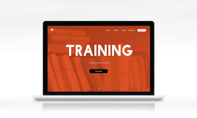 什么品种的月季比较耐阴耐寒